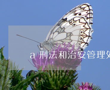 a刑法和治安管理处罚条例 a刑法和治安管理处罚条例
