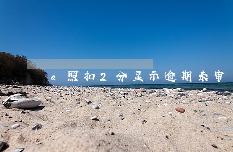 a照扣2分显示逾期未审 a照扣2分显示逾期未审