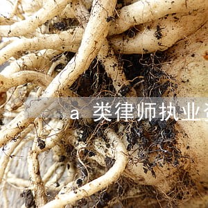 a类律师执业资格证 a类律师执业资格证