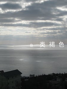 a类褐色律师证