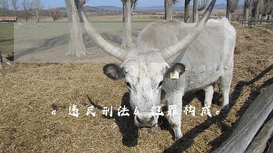 a违反刑法b犯罪构成c a违反刑法b犯罪构成c