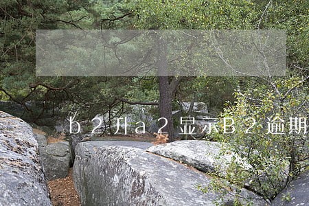 b2升a2显示B2逾期 b2升a2显示B2逾期
