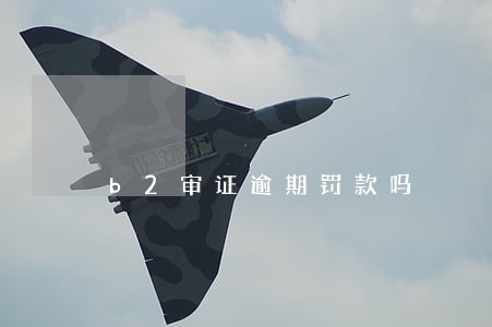 b2审证逾期罚款吗