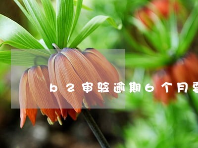 b2审验逾期6个月要罚款吗 b2审验逾期6个月要罚款吗
