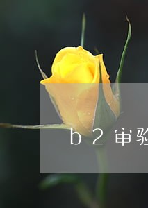 b2审验逾期一个月 b2审验逾期一个月