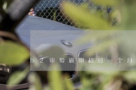 b2审验逾期超过一个月罚款吗 b2审验逾期超过一个月罚款吗