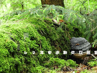 b2年审逾期处罚规定 b2年审逾期处罚规定