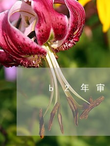 b2年审逾期要罚款吗 b2年审逾期要罚款吗