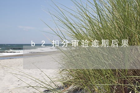 b2扣分审验逾期后果 b2扣分审验逾期后果
