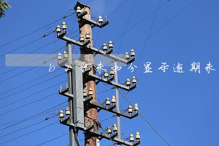 b2证未扣分显示逾期未审验 b2证未扣分显示逾期未审验