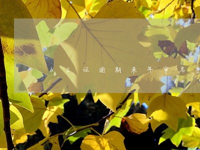 b2证逾期未年审名单 b2证逾期未年审名单