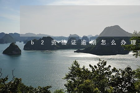 b2资格证逾期怎么办理 b2资格证逾期怎么办理