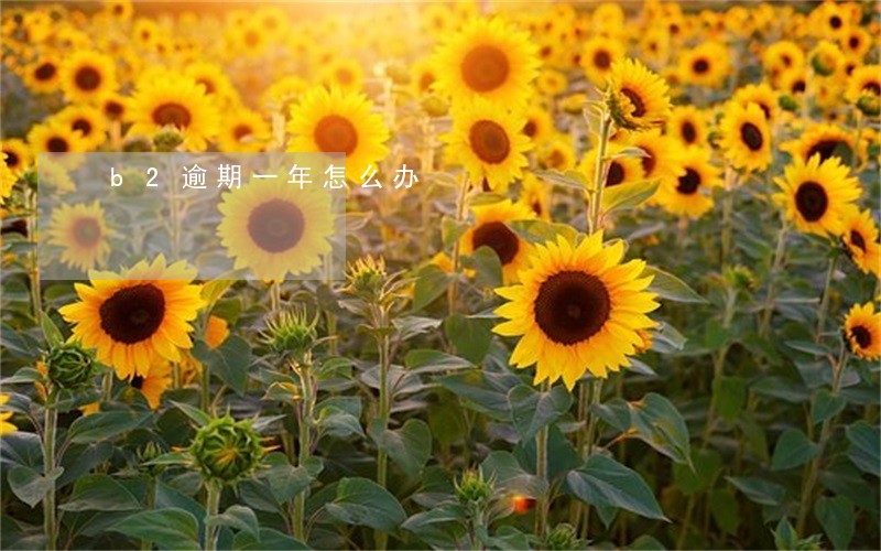 b2逾期一年怎么办 b2逾期一年怎么办
