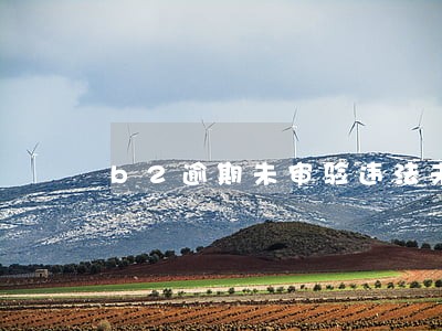 b2逾期未审验违法未处理 b2逾期未审验违法未处理