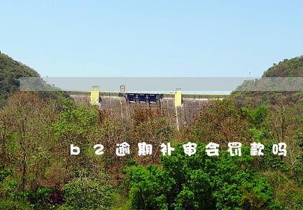 b2逾期补审会罚款吗 b2逾期补审会罚款吗
