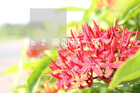 b2逾期超一年