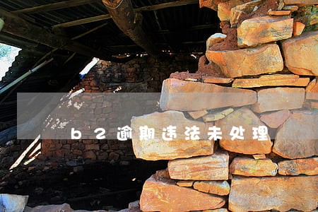 b2逾期违法未处理