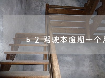 b2驾驶本逾期一个月还能审吗 b2驾驶本逾期一个月还能审吗