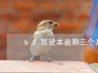 b2驾驶本逾期三个月怎么办 b2驾驶本逾期三个月怎么办