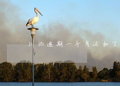 b证逾期一个月还扣了3分 b证逾期一个月还扣了3分