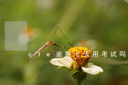 c1e逾期七天用考试吗 c1e逾期七天用考试吗