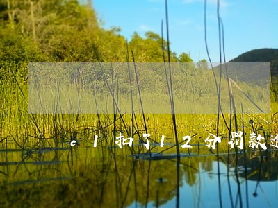 c1扣了12分罚款逾期滞纳金 c1扣了12分罚款逾期滞纳金