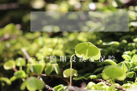 c1逾期没换证保险 c1逾期没换证保险