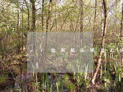 c1逾期被注销怎么恢复 c1逾期被注销怎么恢复