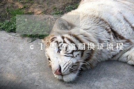 c1驾证逾期换证流程 c1驾证逾期换证流程