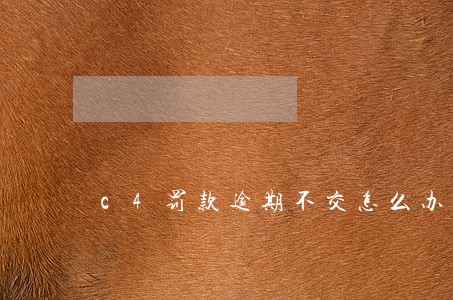 c4罚款逾期不交怎么办 c4罚款逾期不交怎么办