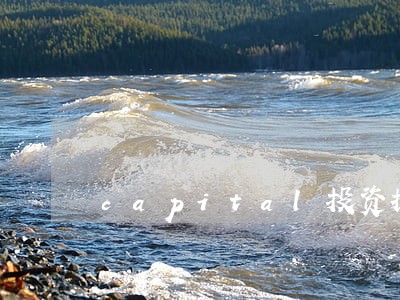 capital投资提供法律服务 capital投资提供法律服务