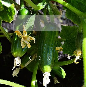 cctv焦点访谈真融宝逾期 cctv焦点访谈真融宝逾期