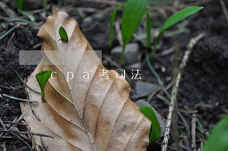 cpa考司法 cpa考司法