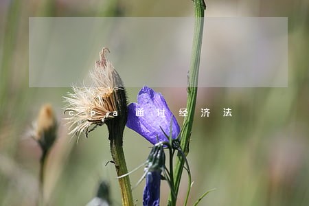 cpa通过经济法 cpa通过经济法