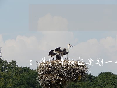 c照6年换证逾期一年怎么办 c照6年换证逾期一年怎么办
