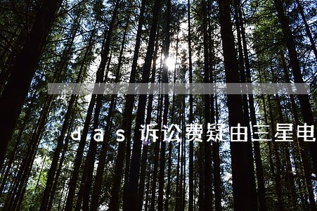 das诉讼费疑由三星电子代付 das诉讼费疑由三星电子代付