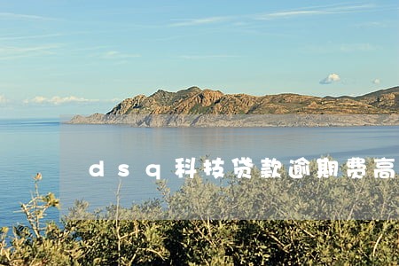 dsq科技贷款逾期费高吗 dsq科技贷款逾期费高吗