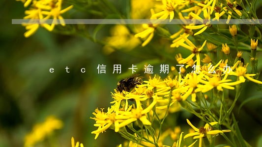 etc信用卡逾期了怎么办 etc信用卡逾期了怎么办