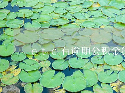 etc有逾期公积金贷款利率 etc有逾期公积金贷款利率