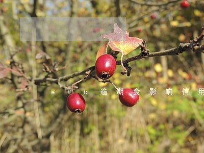 etc逾期会影响信用吗 etc逾期会影响信用吗