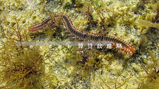 excel算贷款逾期 excel算贷款逾期