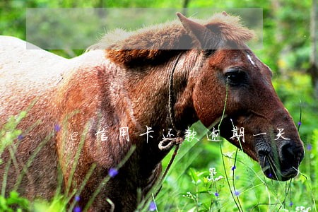 e信用卡还款逾期一天 e信用卡还款逾期一天