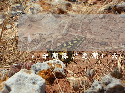 e分期账户逾期1天 e分期账户逾期1天