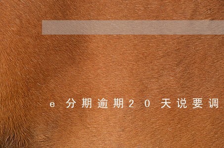 e分期逾期20天说要调查 e分期逾期20天说要调查