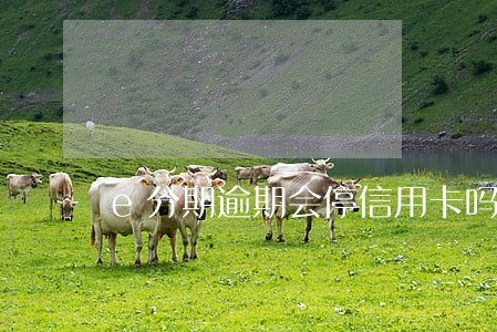 e分期逾期会停信用卡吗 e分期逾期会停信用卡吗