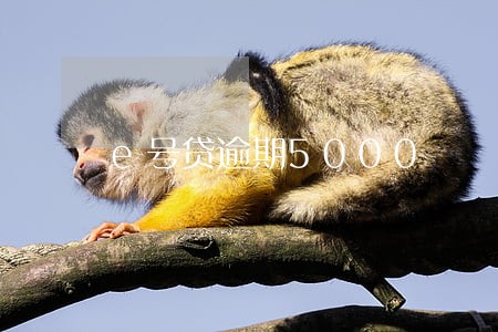 e号贷逾期5000 e号贷逾期5000