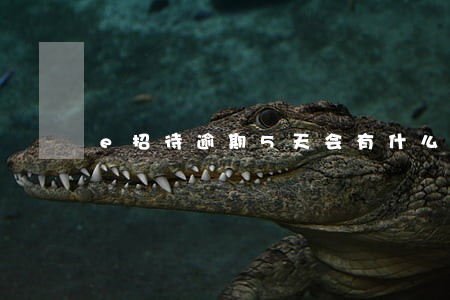 e招待逾期5天会有什么后果 e招待逾期5天会有什么后果
