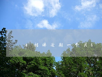 e招待逾期一个月6
