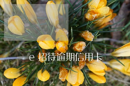 e招待逾期信用卡 e招待逾期信用卡
