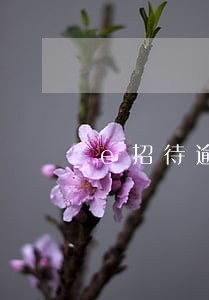 e招待逾期影响贷款 e招待逾期影响贷款